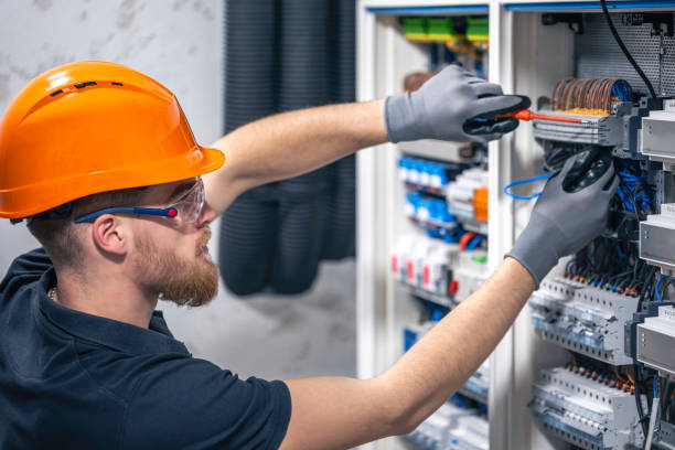 Best Electric Panel Repair  in Kapaau, HI